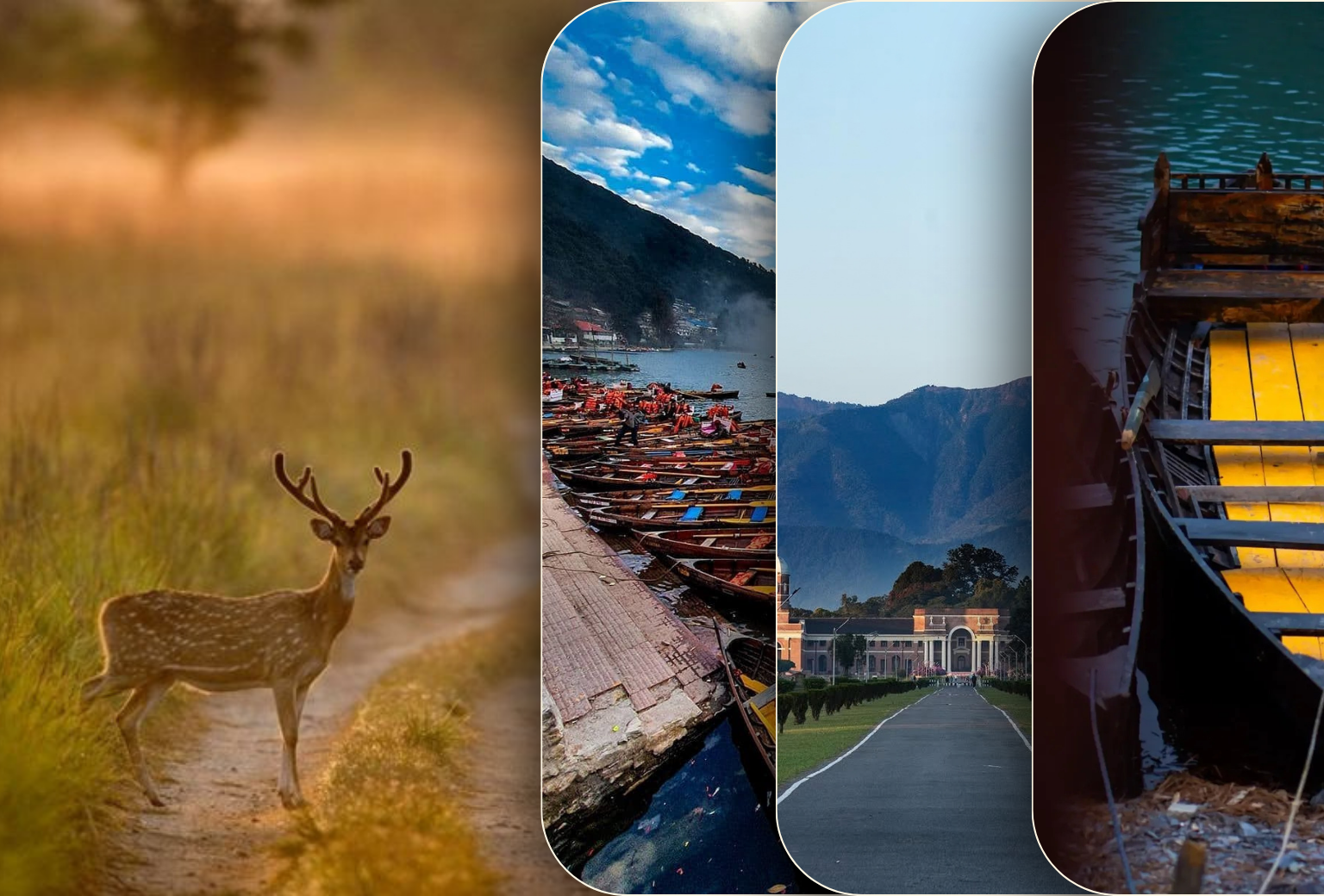 7 Days Uttarakhand Tour Package from Dehradun | Nainital & Corbett